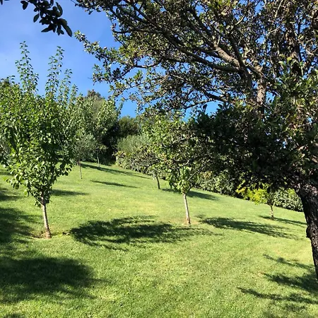 Villa Baja Sardinia فيلة بايا سردينيا