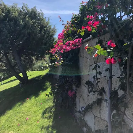 Villa Baja Sardinia