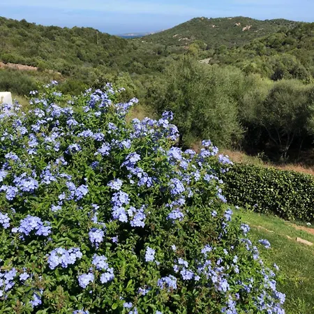 Villa Baja Sardinia فيلة *